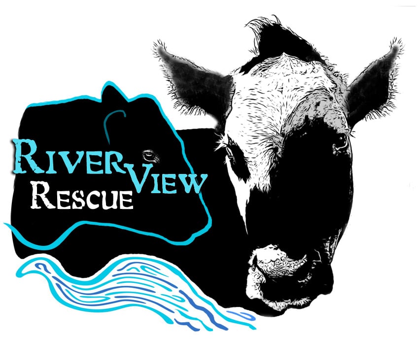 RiverView Rescue